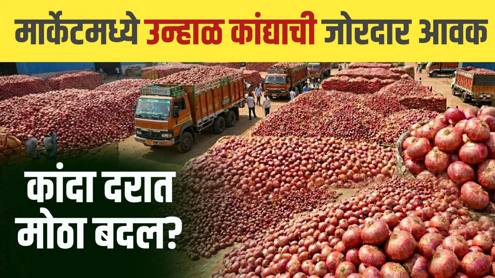 Onion APMC Prices Today